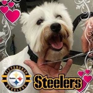 Meet your Posher, Billie